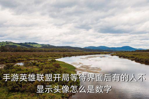 手游英雄联盟开局等待界面后有的人不显示头像怎么是数字
