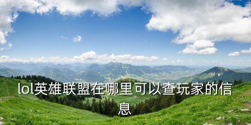 英雄联盟手游怎么看玩家资料，lol 怎么查询玩家资料