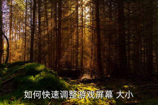 如何快速调整游戏屏幕 大小