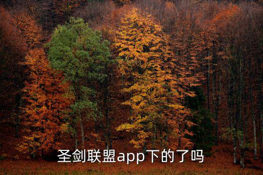 圣剑联盟app下的了吗