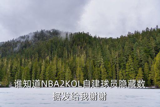 谁知道NBA2KOL自建球员隐藏数据发给我谢谢