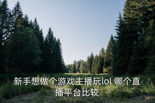 新手想做个游戏主播玩lol 哪个直播平台比较