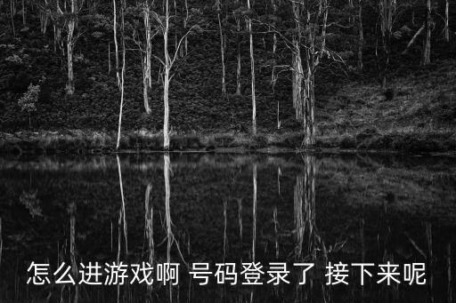 道士出山手游怎么登进去，怎么进游戏啊 号码登录了 接下来呢