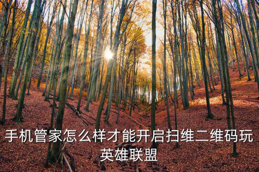 lol手游登录怎么才能扫码，怎样用扫描二维码登录