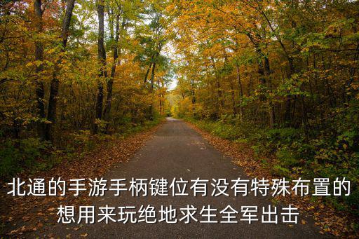 手游吃鸡平板操作布局怎么设置，吃鸡怎样设置一排2或者1排4