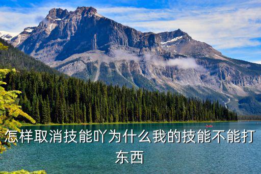 怎样取消技能吖为什么我的技能不能打东西