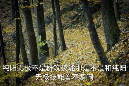 纯阳无极不是群攻技能那是不是和纯阳无极技能差不多啊