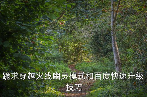 跪求穿越火线幽灵模式和百度快速升级 技巧