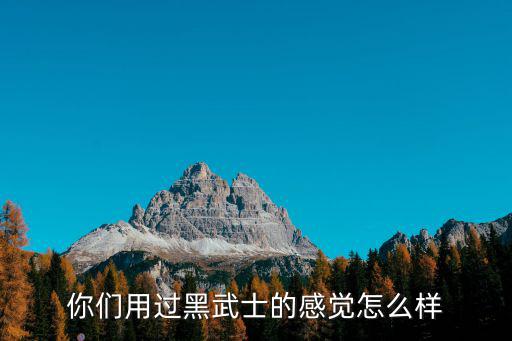 你们用过黑武士的感觉怎么样