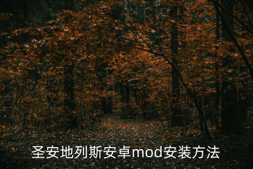 圣安地列斯安卓mod安装方法