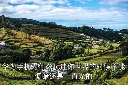 华为手机为什么玩迷你世界的时候不能调暗还是一直光的
