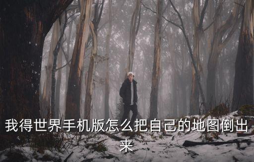 我得世界手机版怎么把自己的地图倒出来