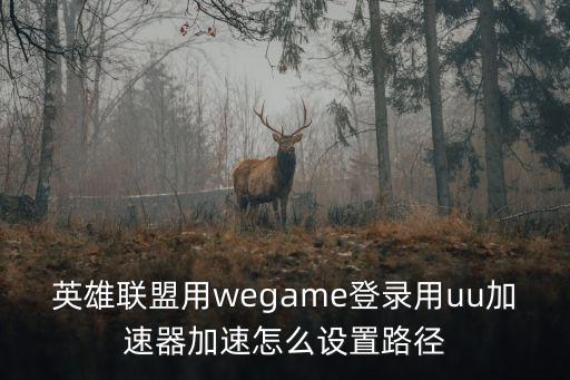 英雄联盟用wegame登录用uu加速器加速怎么设置路径