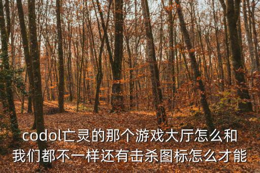 codol亡灵的那个游戏大厅怎么和我们都不一样还有击杀图标怎么才能