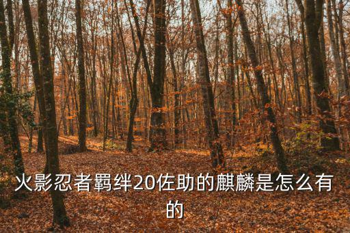 火影忍者羁绊20佐助的麒麟是怎么有的
