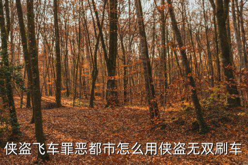 侠盗飞车罪恶都市怎么用侠盗无双刷车