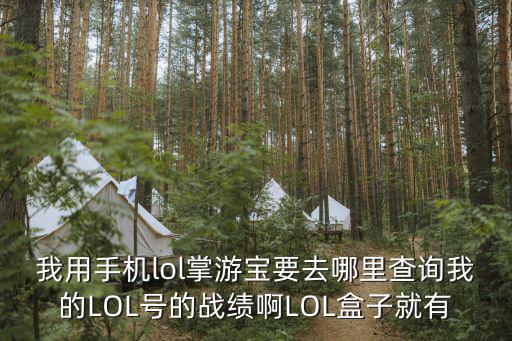 我用手机lol掌游宝要去哪里查询我的LOL号的战绩啊LOL盒子就有