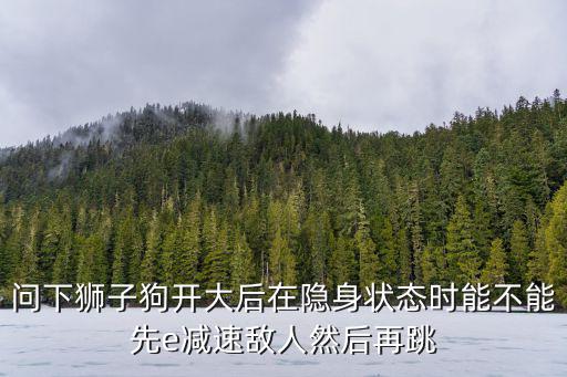 问下狮子狗开大后在隐身状态时能不能先e减速敌人然后再跳