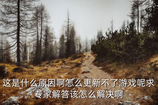 龙纪元手游官网怎么没更新，这是什么原因啊怎么更新不了游戏呢求专家解答该怎么解决啊