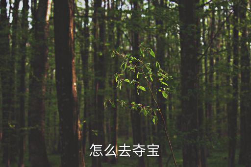 怎么去夺宝
