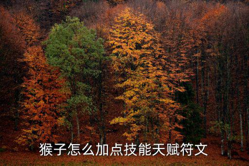 猴子怎么加点技能天赋符文