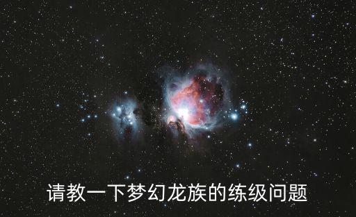 请教一下梦幻龙族的练级问题