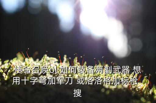 使命召唤ol 如何装备两副武器 想用十字弩加军刀 或洛洛格加标枪 搜