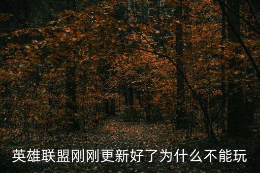 英雄联盟刚刚更新好了为什么不能玩