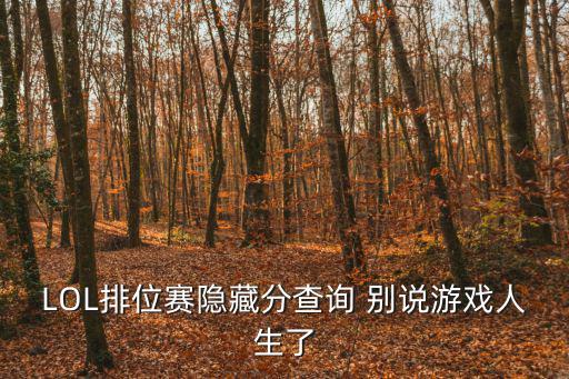 lol手游掌盟怎么看隐藏分，LOL游戏人生和谐后怎么查隐藏分