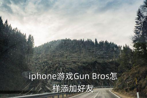 iphone游戏Gun Bros怎样添加好友
