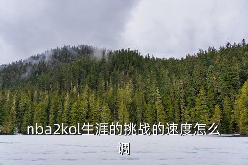 nba2kol生涯的挑战的速度怎么调