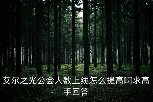 艾尔之光公会人数上线怎么提高啊求高手回答