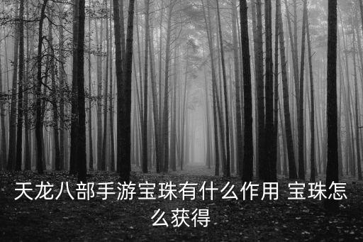 天龙八部手游里面的宝珠怎么来的，天龙八部游戏中龙珠怎么的到