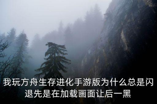 我玩方舟生存进化手游版为什么总是闪退先是在加载画面让后一黑