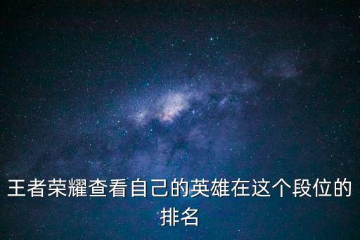 王者荣耀查看自己的英雄在这个段位的排名