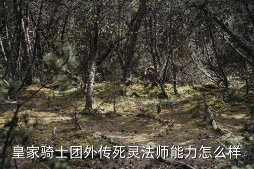 皇家骑士团外传死灵法师能力怎么样