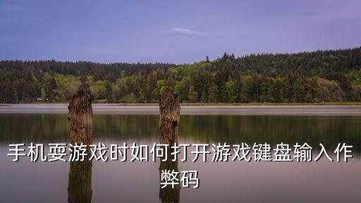 手机耍游戏时如何打开游戏键盘输入作弊码