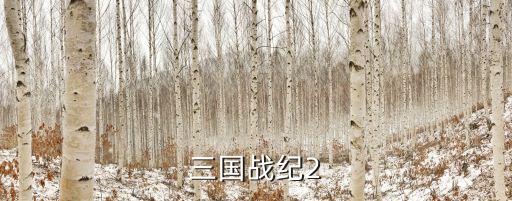 三国战纪2