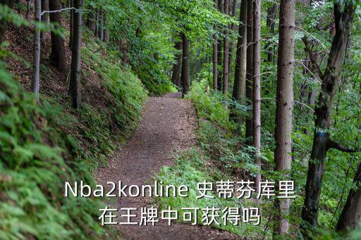 Nba2konline 史蒂芬库里在王牌中可获得吗