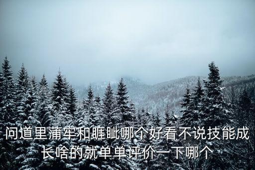 问道里蒲牢和睚眦哪个好看不说技能成长啥的就单单评价一下哪个