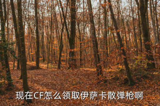 现在CF怎么领取伊萨卡散弹枪啊