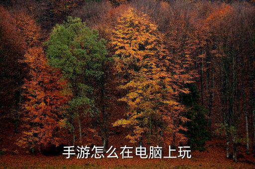手游电脑怎么打出来，手游怎么在电脑上玩