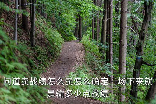 问道手游交易战绩怎么算，问道战绩出售1比42怎么算