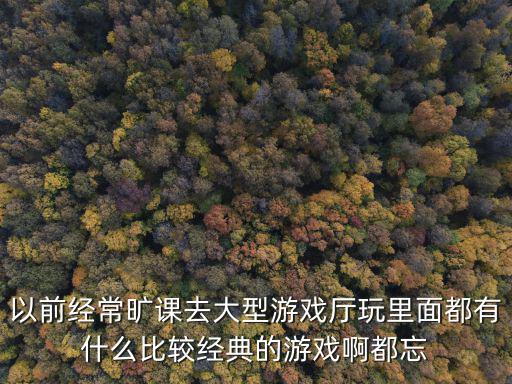 以前经常旷课去大型游戏厅玩里面都有什么比较经典的游戏啊都忘