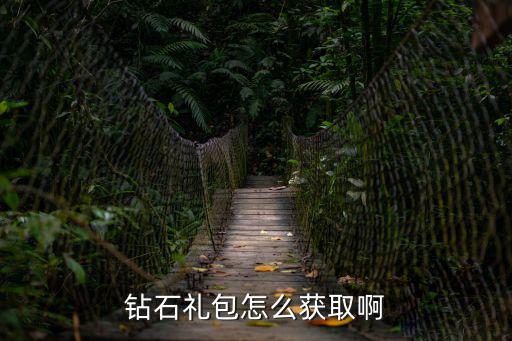 钻石礼包怎么获取啊