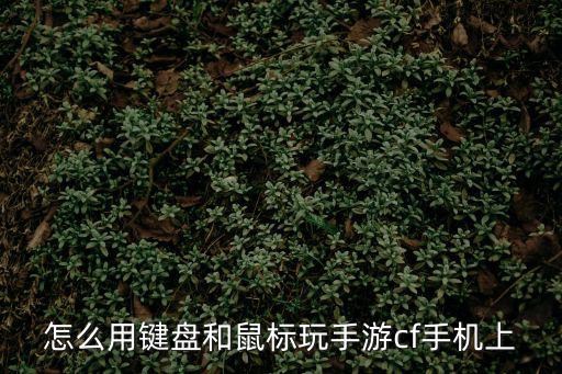 cf手游鼠标怎么操作，怎么用键盘和鼠标玩手游cf手机上