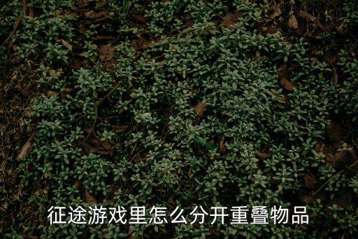 征途游戏里怎么分开重叠物品