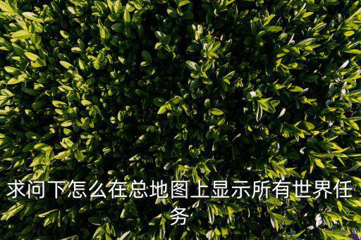 求问下怎么在总地图上显示所有世界任务