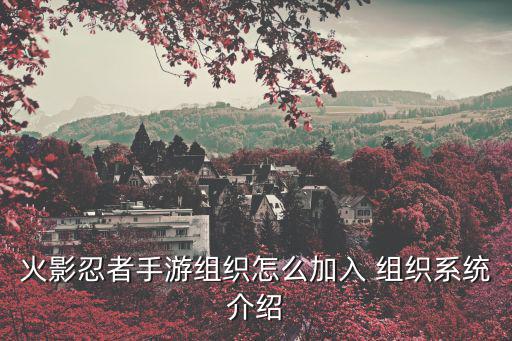 火影忍者手游组织怎么加入 组织系统介绍