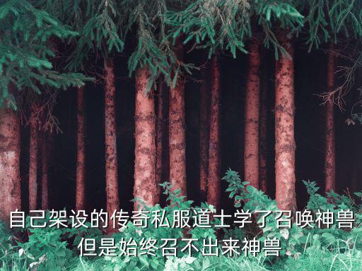 传奇手游神兽怎么召唤不出呀，自己架设的传奇私服道士学了召唤神兽但是始终召不出来神兽